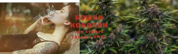 гидропоника Горно-Алтайск