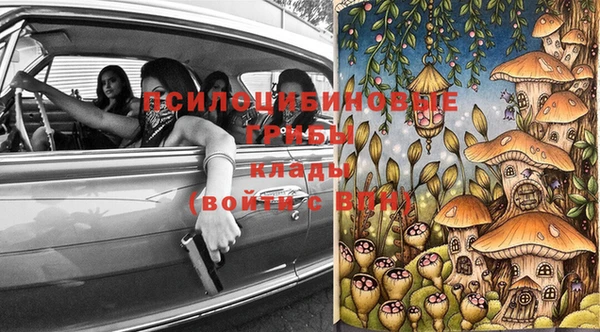 трава Горнозаводск