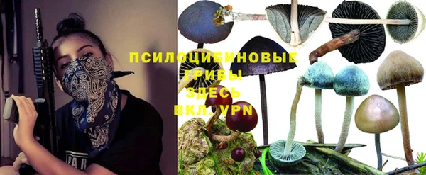 трава Горнозаводск